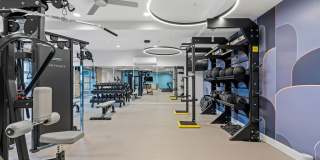 The Revival Gallery 44