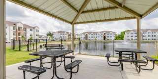 The Laurel Gallery 43