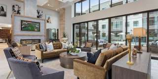 Onyx North Central Gallery 14