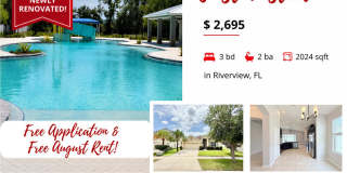 8222 Willow Beach Drive Gallery 1