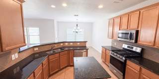 1938 Spotted Owl Gallery 18