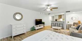 658 SUMMER Place Gallery 12