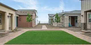 Havenly Prescott Gallery 6