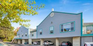 Heron's Nest Gallery 16