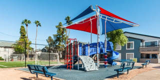 Palms at South Mountain Gallery 18