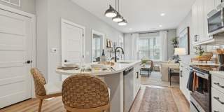 Everly Everly Gallery 2