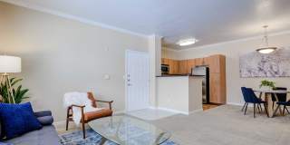 Addison at Cherry Creek Gallery 23