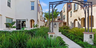 138 Borrego Gallery 1