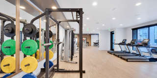 The Dorsey Gallery 24