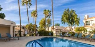 STUNNING Furnished OASIS 2 bed/2 bath Condo in McCormick Ranch Gallery 28