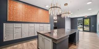 The Fitzroy Gallery 35