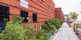 Senate Square Gallery 16