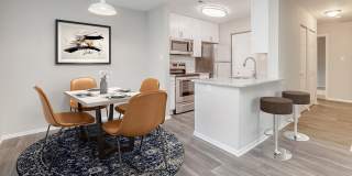 Spring House Apartments Gallery 24