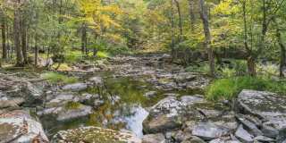 250 Brentwood Drive Gallery 66