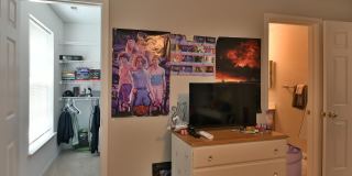 5807 IVY LEAGUE Gallery 30