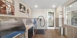 Avalon Lowry Gallery 49