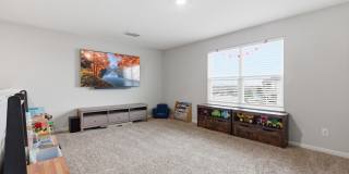 9142 Canvas Run Gallery 16