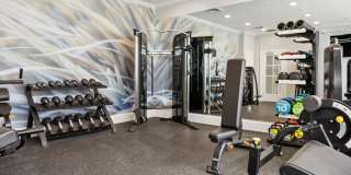 Sofi Danvers Gallery 26