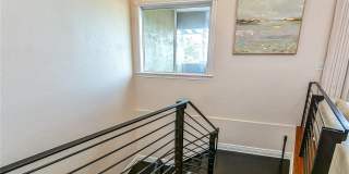 4907 BAYSHORE BOULEVARD Gallery 26