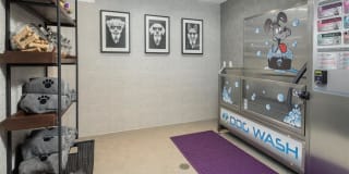 Sole at City Center Gallery 29