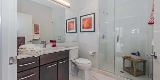 State & Chestnut Gallery 12