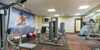 Medicine Lake Apartments Gallery 10