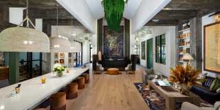 Milo Gallery 1
