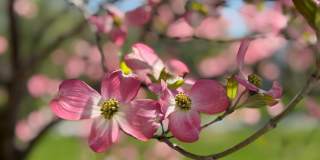 12929 ESWORTHY Road Gallery 6