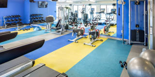 The Paxon Gallery 32