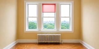 254 Mount Prospect Avenue Gallery 4