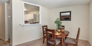 Harbor Lake Gallery 11