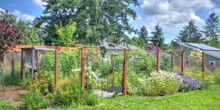 West Olympia 2bd 1 bath Cottage Rambler with Garden Space Gallery 21