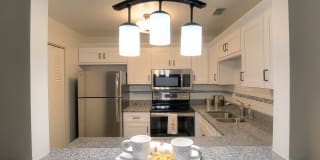 Madison at Roosevelt Gallery 6