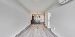 7 Van Buren St. Gallery 10