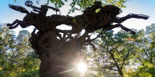 Northlight Gallery 80