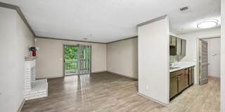 Forest Glen Gallery 14