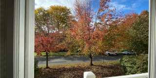 31 Greenridge Avenue Gallery 12