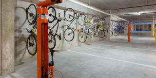 Eleven by Windsor Gallery 39