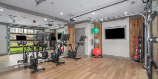 Tributary Rise Gallery 62