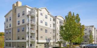 Sofi Danvers Gallery 41