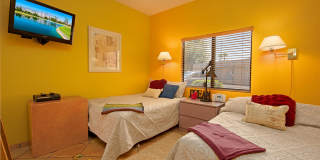 28859 Desert Princess Drive Gallery 15