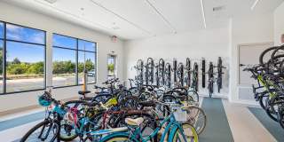 The Braydon Gallery 55