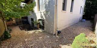 2 Level, 2 Bedroom Hidden Gem in Dupont! Gallery 21