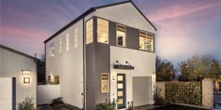 2456 E Encanto Paseo Gallery 1