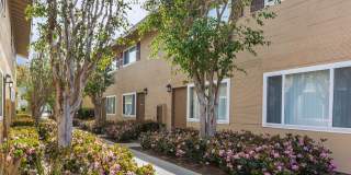 Woodhaven Townhomes Gallery 2