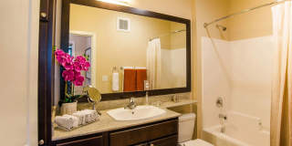 Siena Apartment Homes Gallery 12