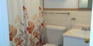 Highlands 1 Bedroom 1 Bath w/ Yard and Laundry! Gallery 98