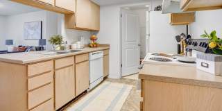 Orchard Cove Gallery 6