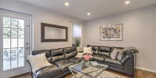 24 Mount Drive Gallery 5