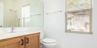9162 N TREASURE MOUNTAIN Drive Gallery 20
